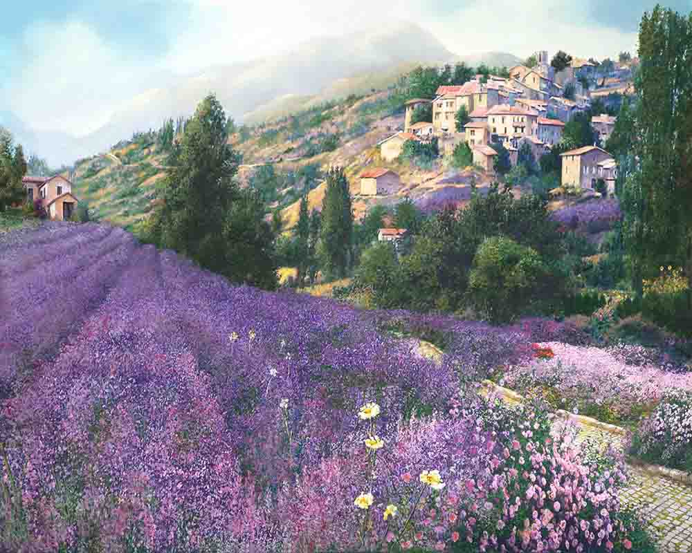 Lavender Fields